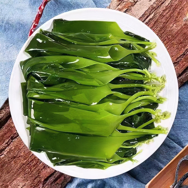 霞浦优质海带细嫩苗500g非裙带菜新鲜海带苗凉拌火锅食材批发商用