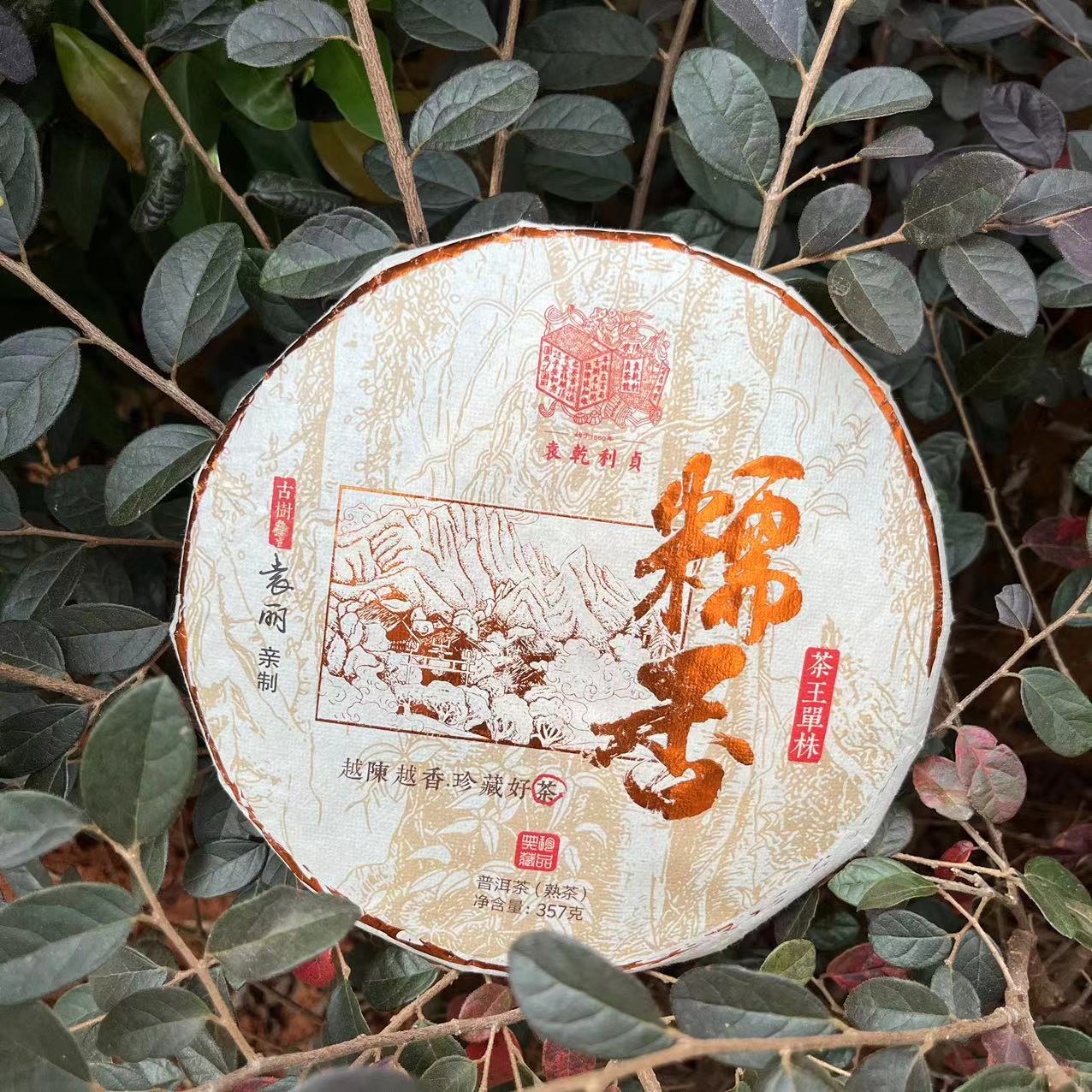 莎莎的茶   YQLZ糯香茶王单株YL亲制古树纯料普洱茶357g/饼 熟茶