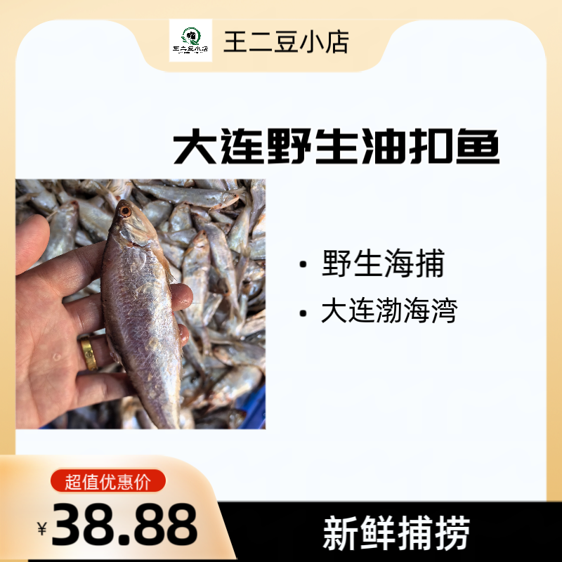 【大连油扣鱼】毛扣鱼4斤，炸，煎着吃，嘎嘎香