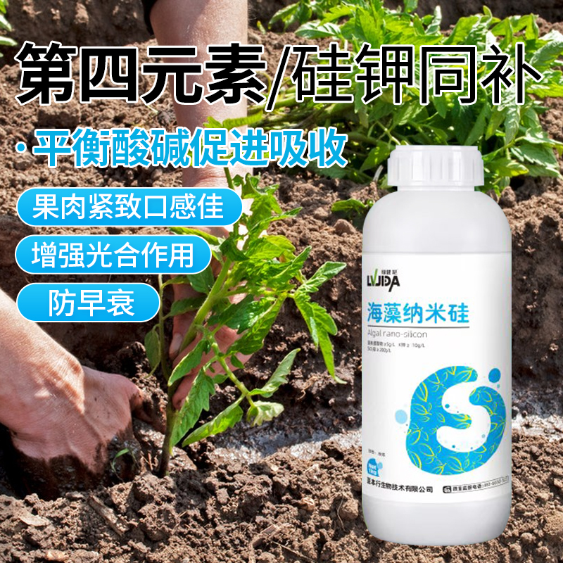 海藻纳米硅水稻小麦果蔬硅肥肥料抗冻抗倒伏耐旱促分蘖1L抗病