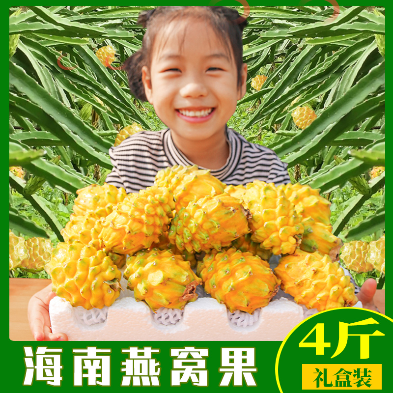 【顺丰速运】【4斤礼盒装】海南燕窝果黄皮火龙优质果麒麟果新鲜