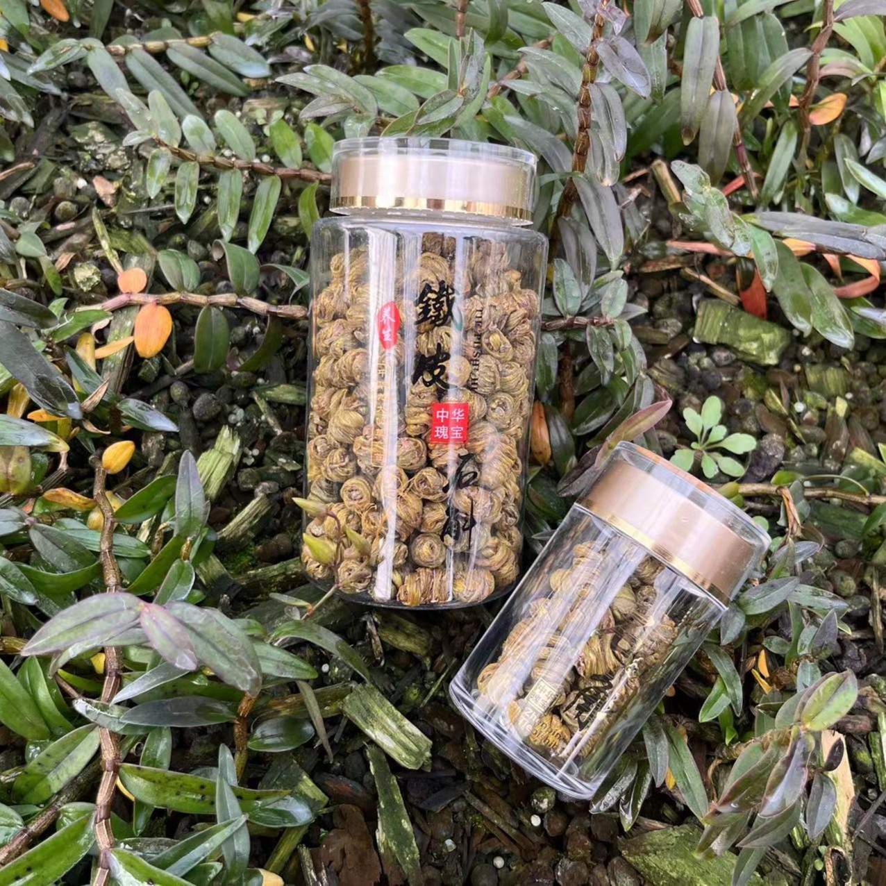 信楓堂正宗种植铁皮石斛枫斗煲汤泡茶送礼好物