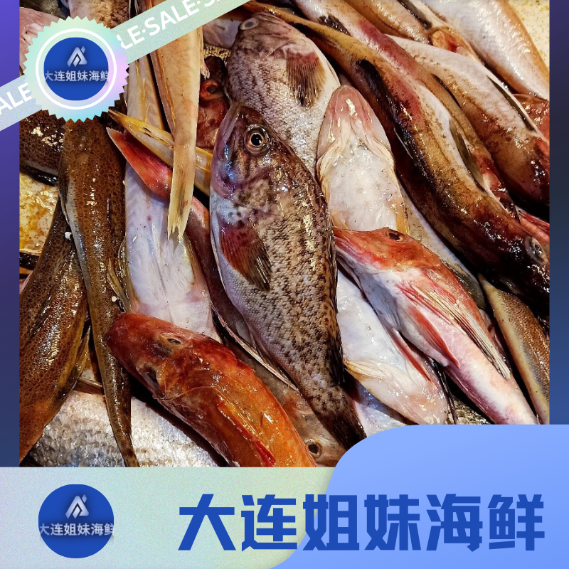 大连 小渔船 杂拌鱼 杂鱼