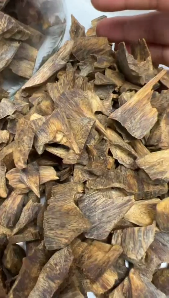 【闪购商品】10克东江绿多样性发货一条