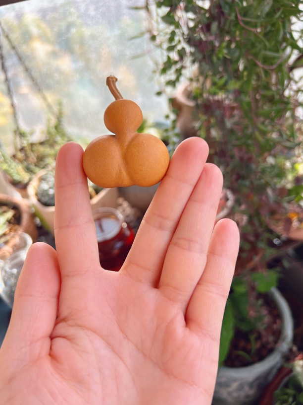 金蟾文玩葫芦，一物一图