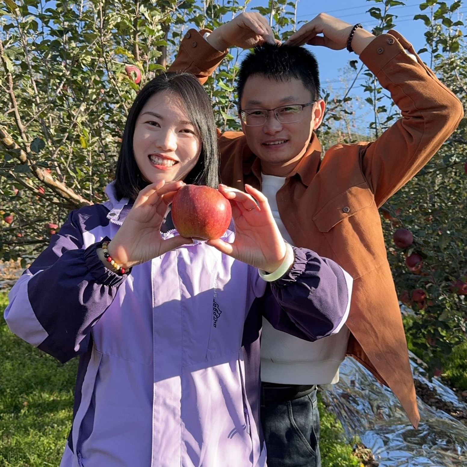 袁袁四川大凉山冰糖心丑苹果当季新鲜水果