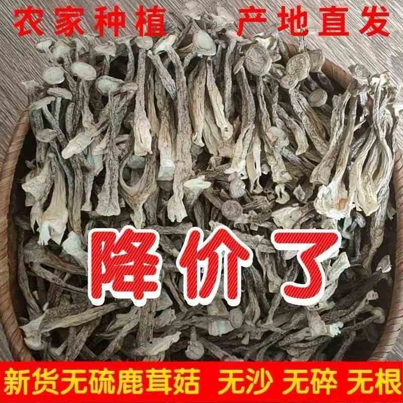 鹿茸菇鹿茸菌干货500g云南特产新鲜鹿茸菇营养菌菇蘑菇干香菇菌类