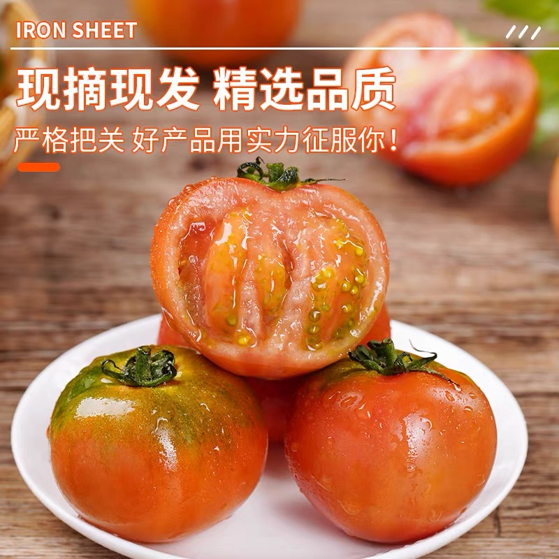 盘锦碱地、铁皮、草莓柿子五斤迷你小果【顺丰京东包邮】