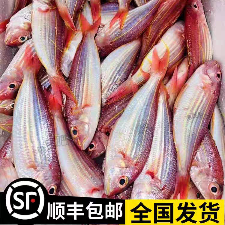 （顺丰发货）去头去内脏 金线鱼（不挂冰400g/包）每包8-13条
