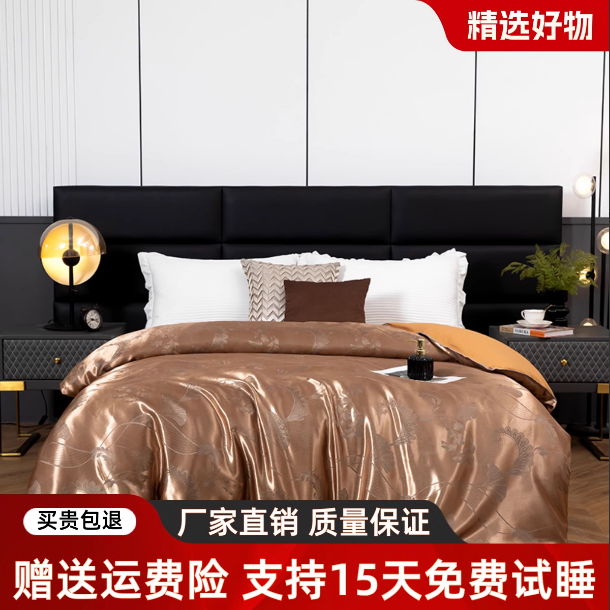 【CH】爆款福利】高端轻奢床品雪绒羽丝棉被加厚保暖春秋冬被被芯