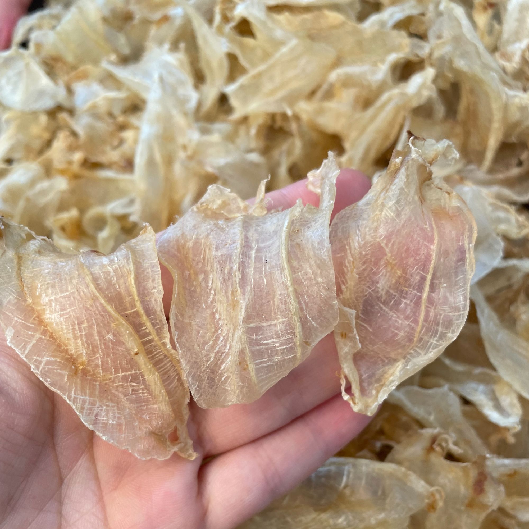 小白花~上脸~花胶 【东君】