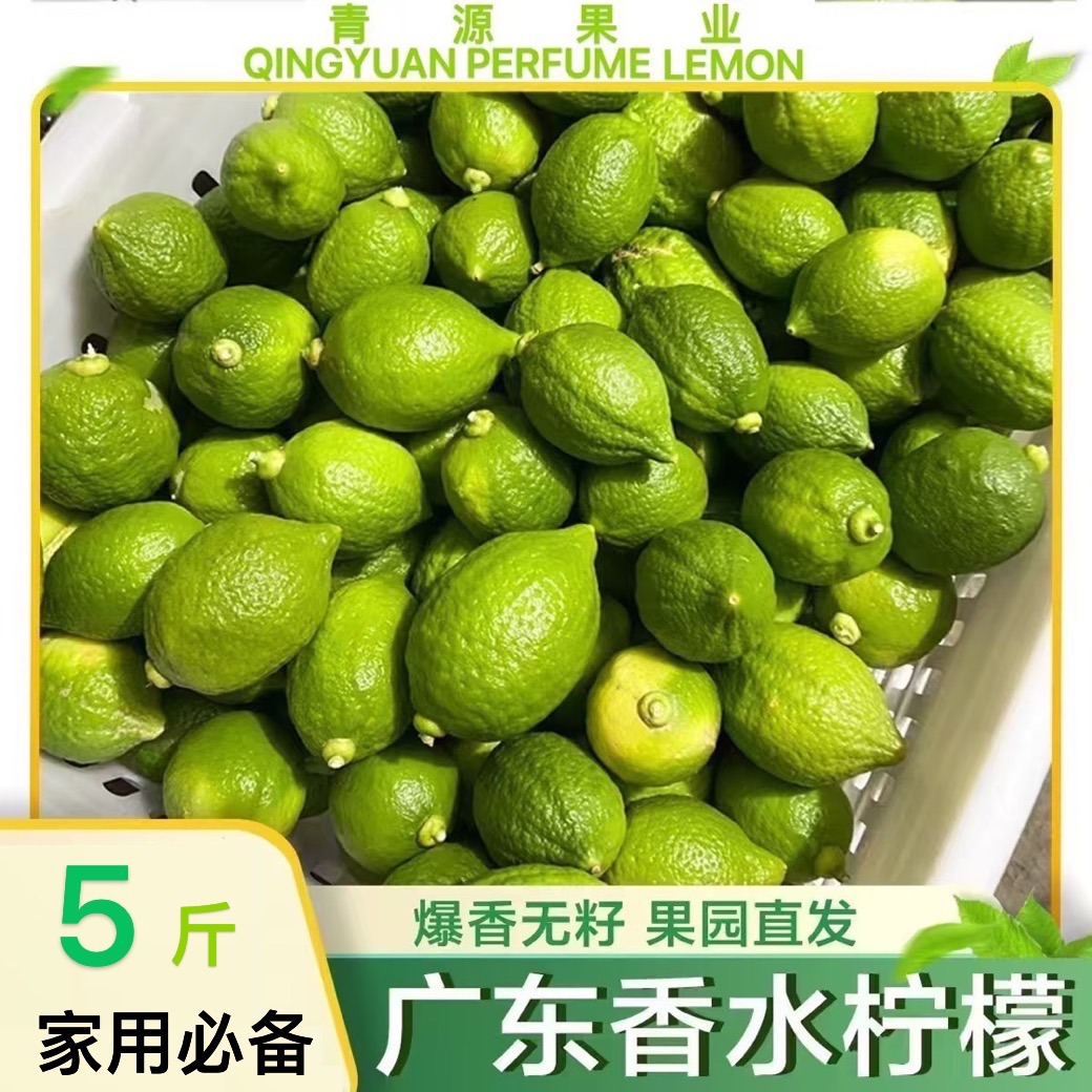 【青源】广东香水柠檬爆香型奶茶店专用 5-10斤净重装新鲜采摘