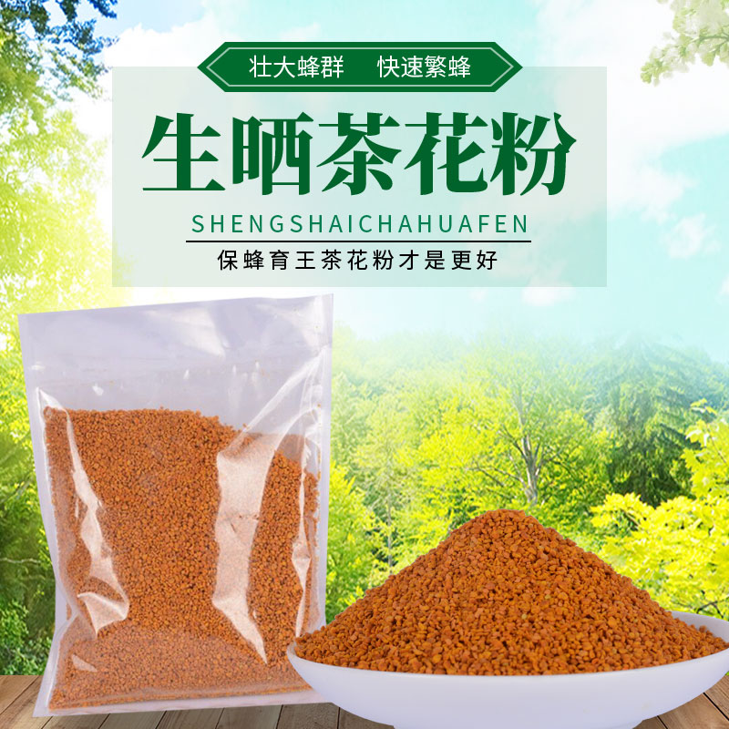 喂蜂茶花粉生晒茶花粉喂蜂茶叶花粉非烘干花粉繁蜂育王茶花粉