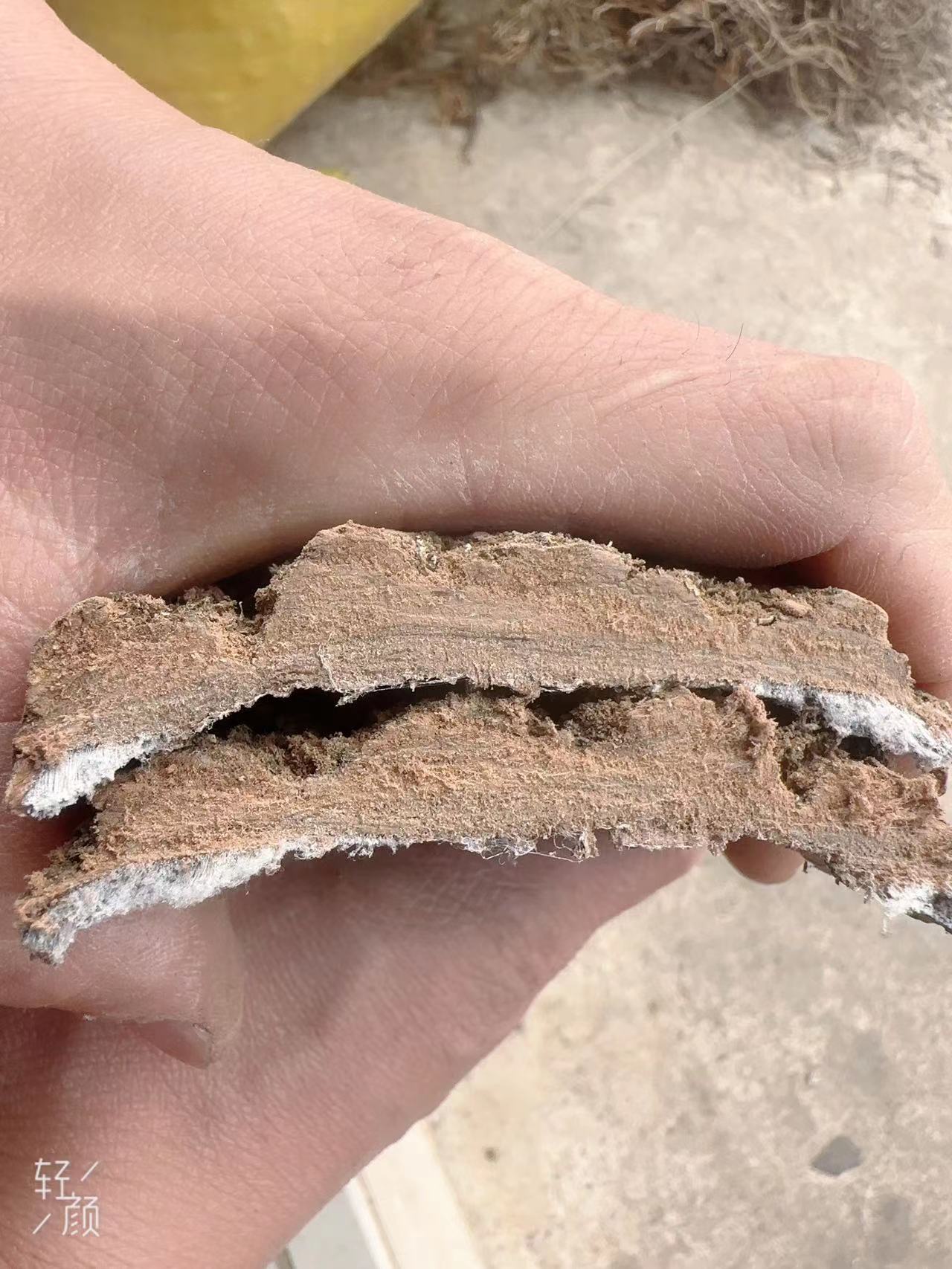 【杜仲】贵州深山老树杜仲250g/袋包邮