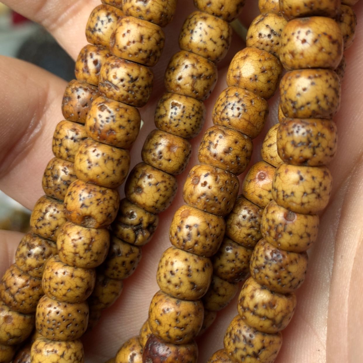 【闪购商品】泥塑泥塑拾****o