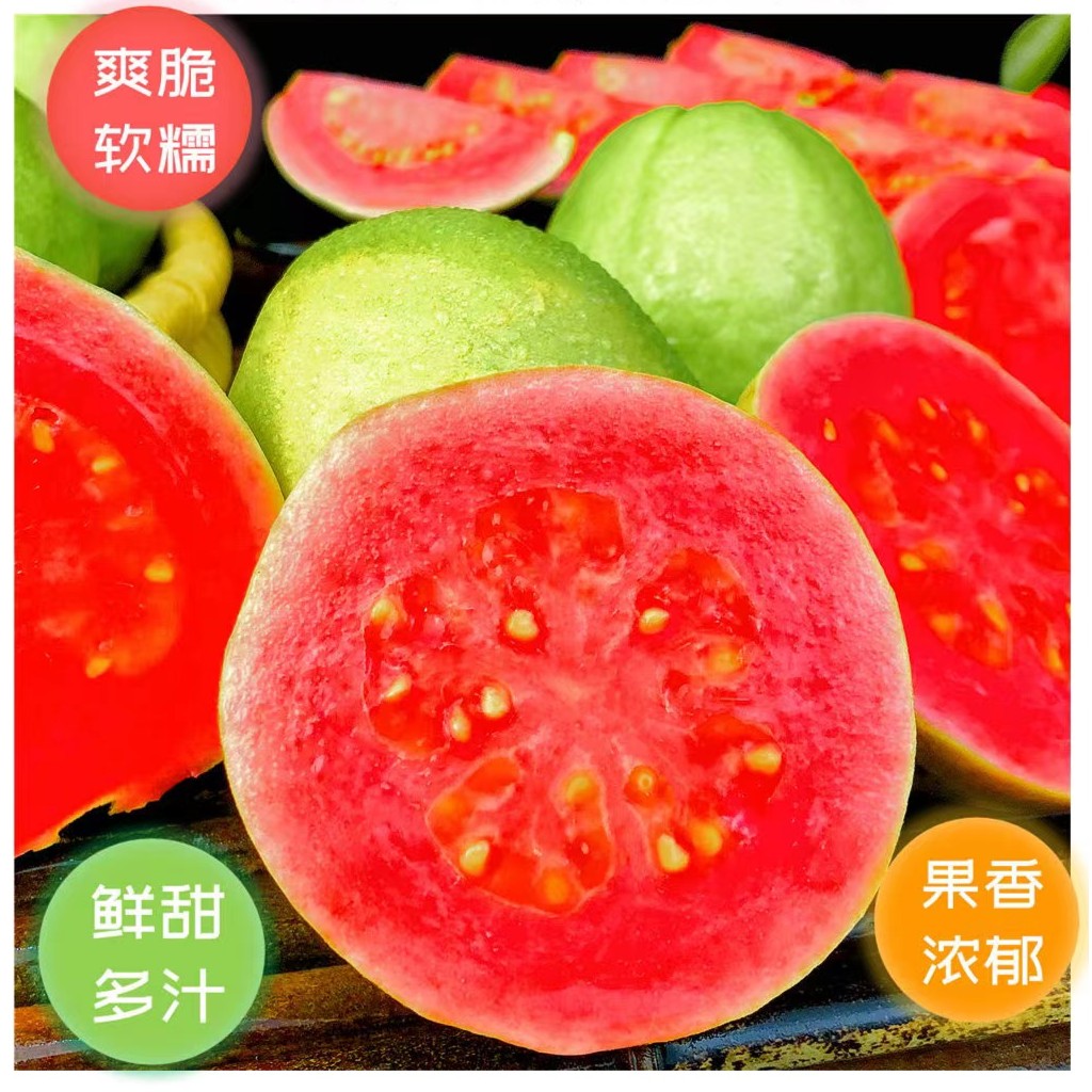 广西红心白心芭乐番石榴颜