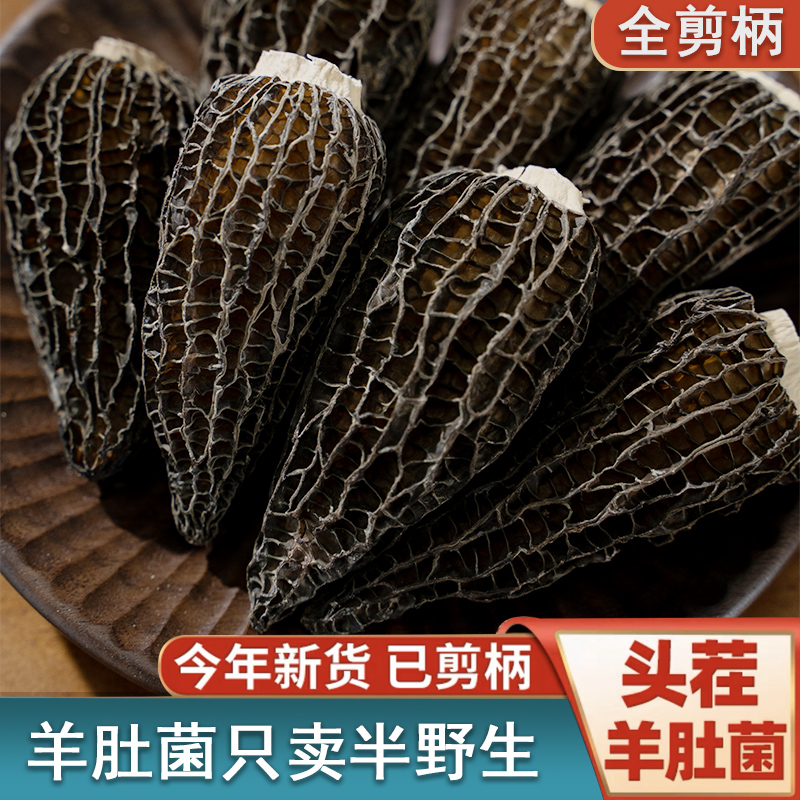 【大号羊肚菌】 全剪脚头茬羊肚菌原产地干货煲汤