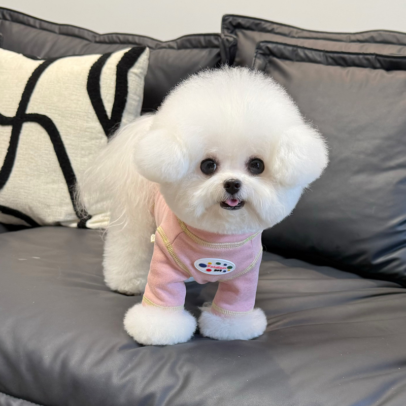 狗狗衣服秋冬新款抓绒打底衫磨毛舒适百搭居家服宠物比熊泰迪博美