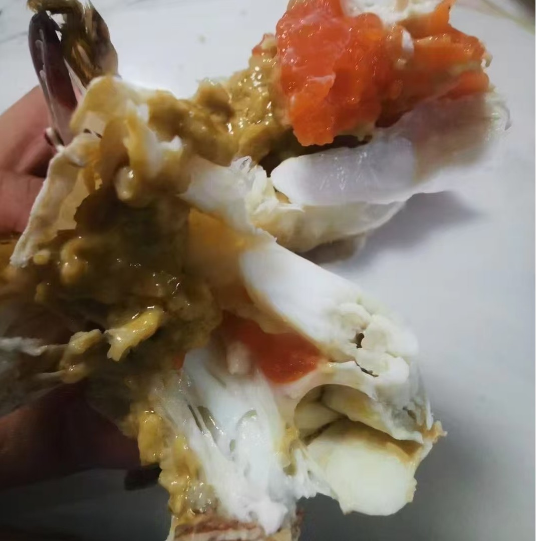 梭子蟹