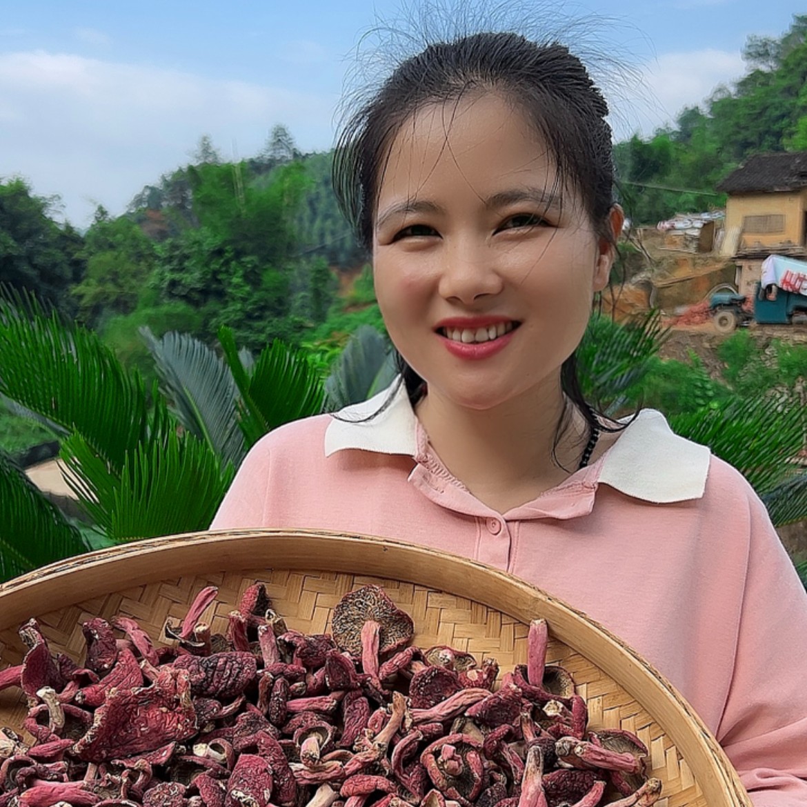 新货野生蓝底红菇干广西红菇干无熏硫无添加
