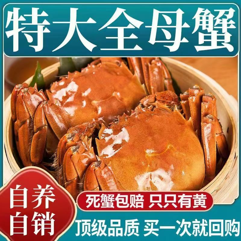 苏州精品大闸蟹全母蟹3.0两8只/10只装，苏州阳澄湖镇配送到家
