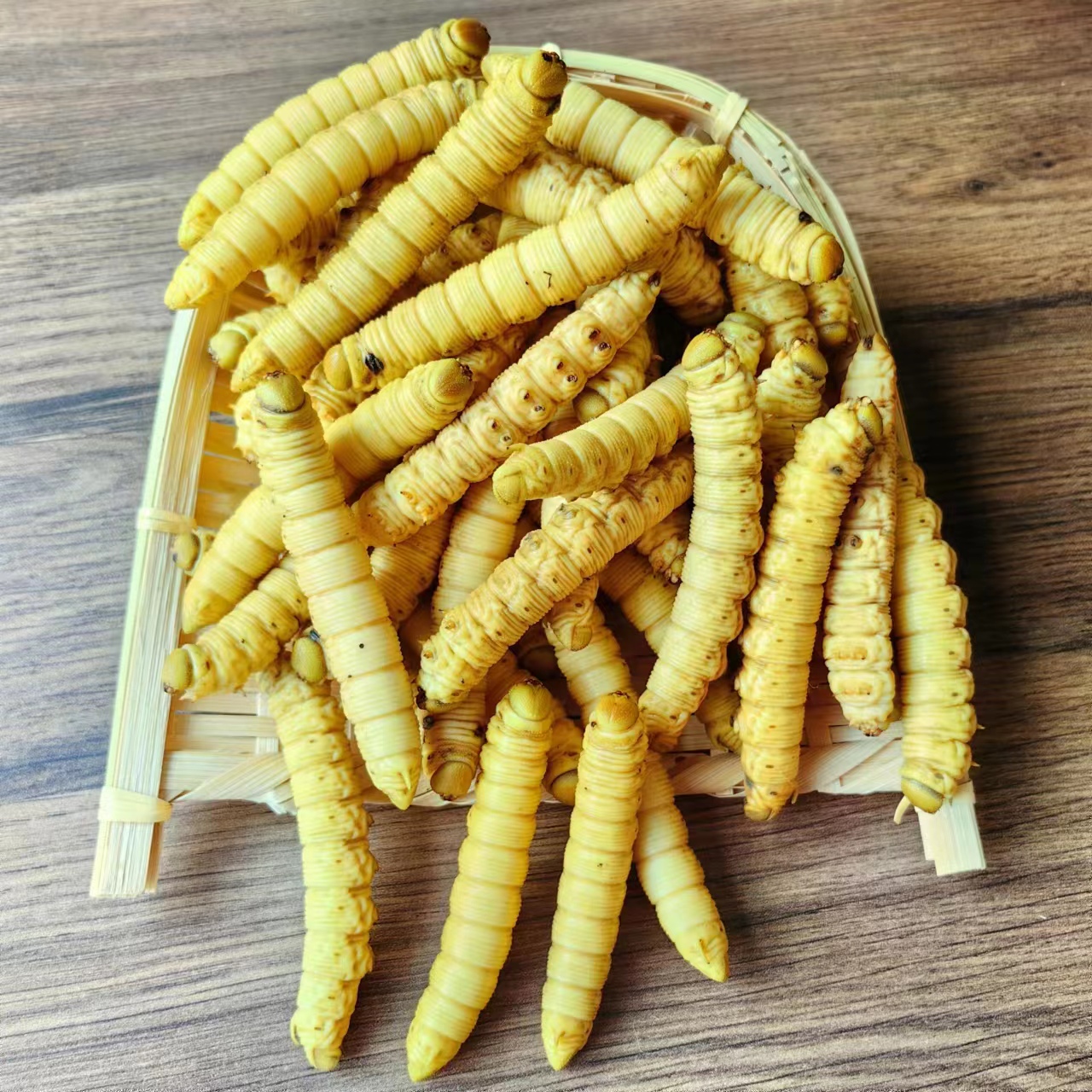 新鲜冷冻入地豆虫高蛋白可食用昆虫美食非即食可油炸烧烤制作1斤