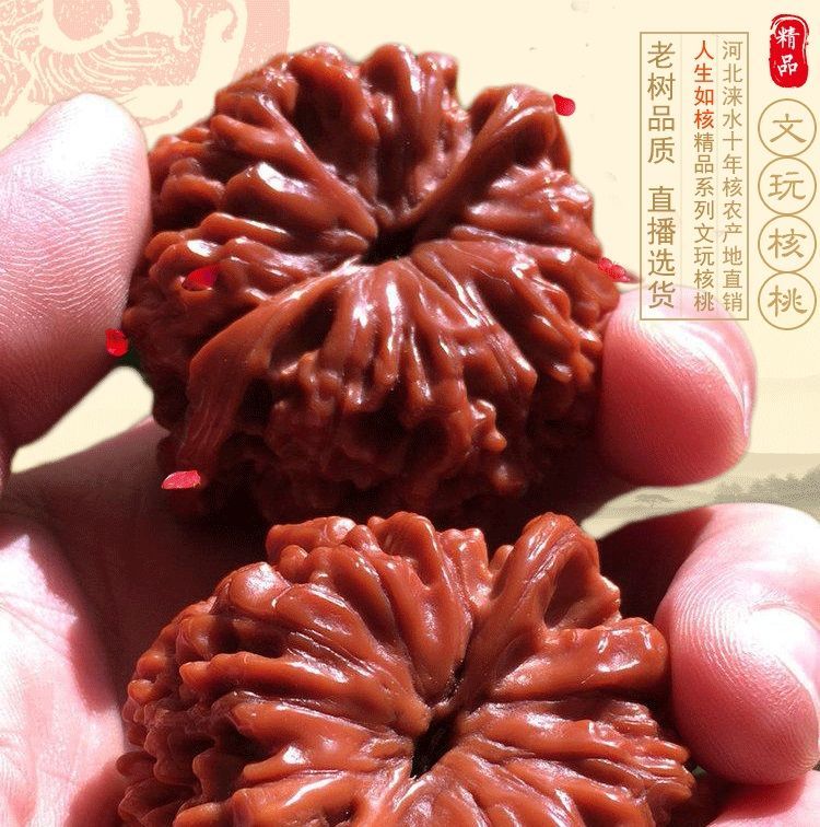 文玩核桃元宝蛤蟆头大粗筋南瓜墩大蒜头大众小众纯野生
