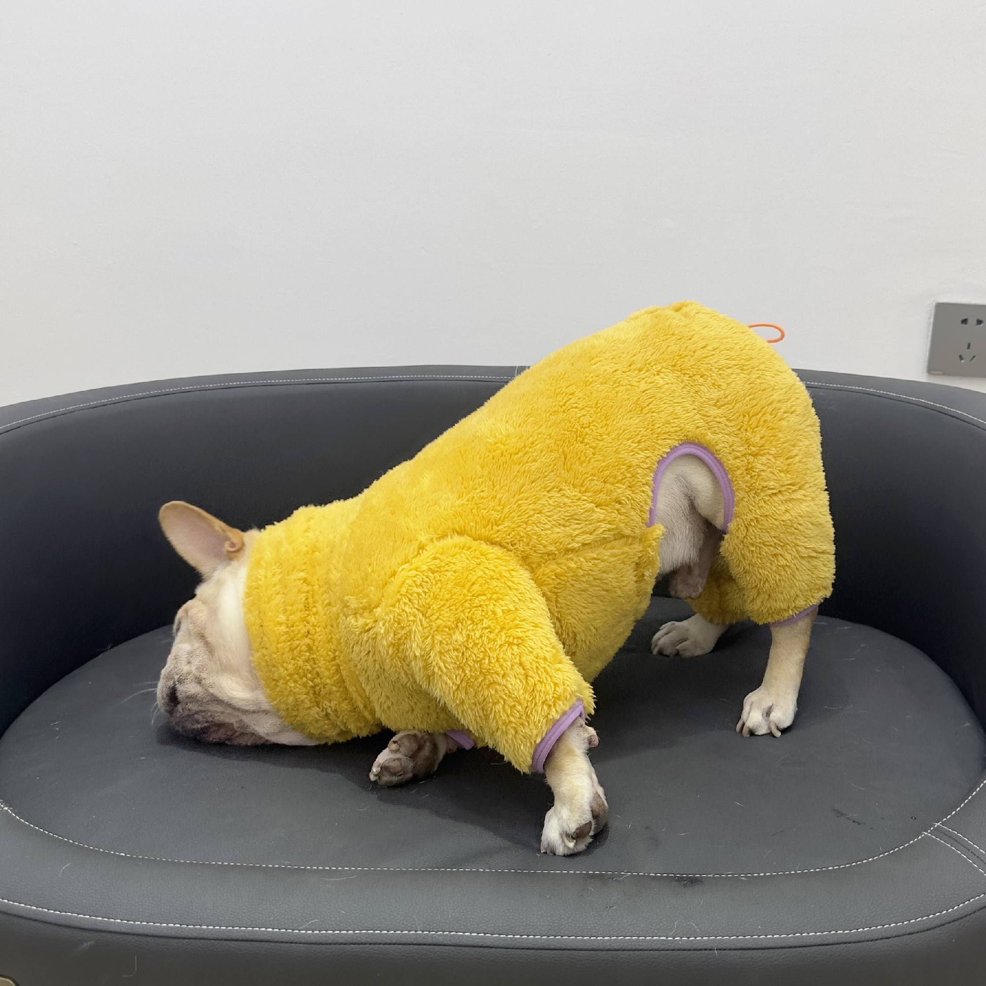 宠物狗狗秋冬高领 法斗四脚衣 巴哥胖狗斗牛犬连体衣中小型犬服饰