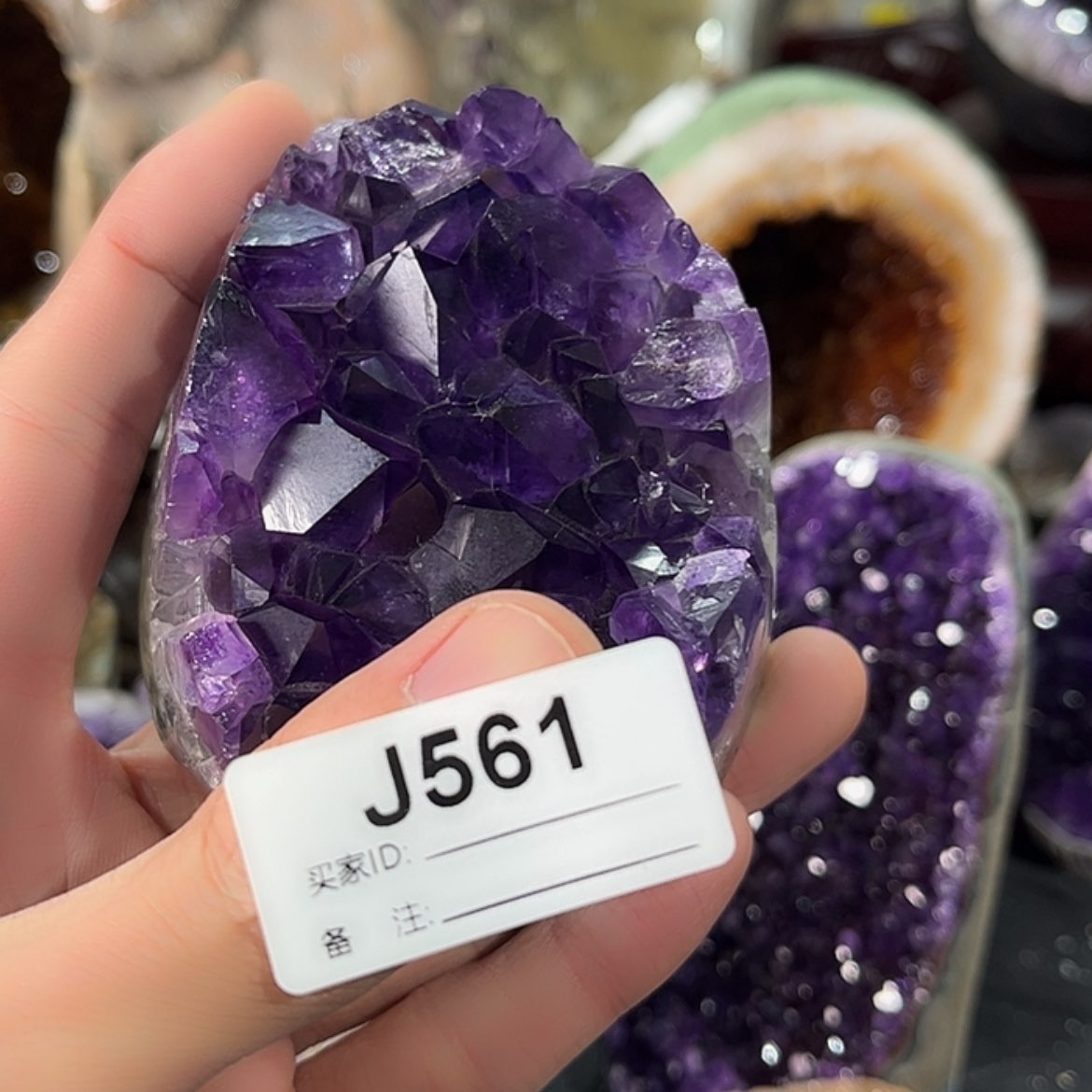 【闪购商品】紫晶561未镶嵌