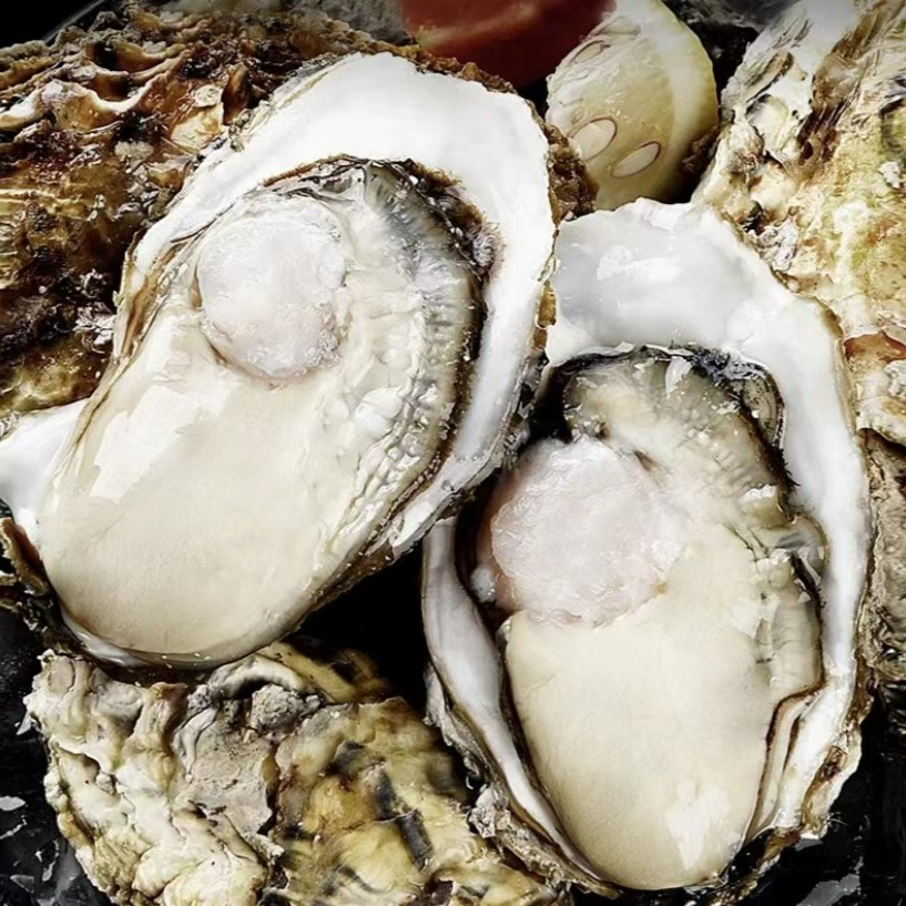 【鲜活】乳山金标生蚝/只