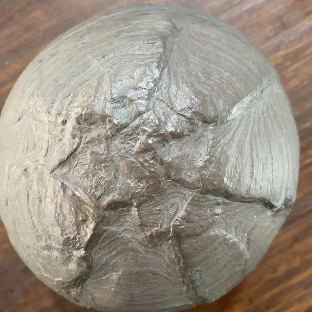 龟纹石天然原石摆件茶宠茶盏—图片仅供参考