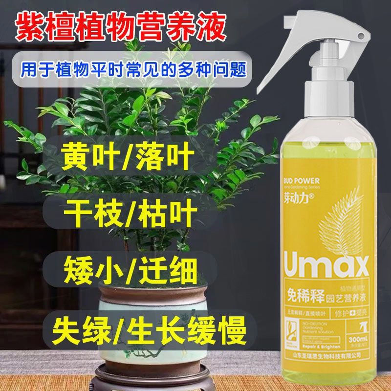小叶紫檀专用肥料紫檀营养液急救黄叶掉叶干枯僵苗生根绿叶营养肥