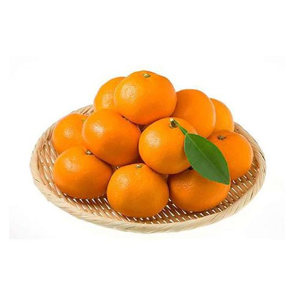 纯甜砂糖橘二斤