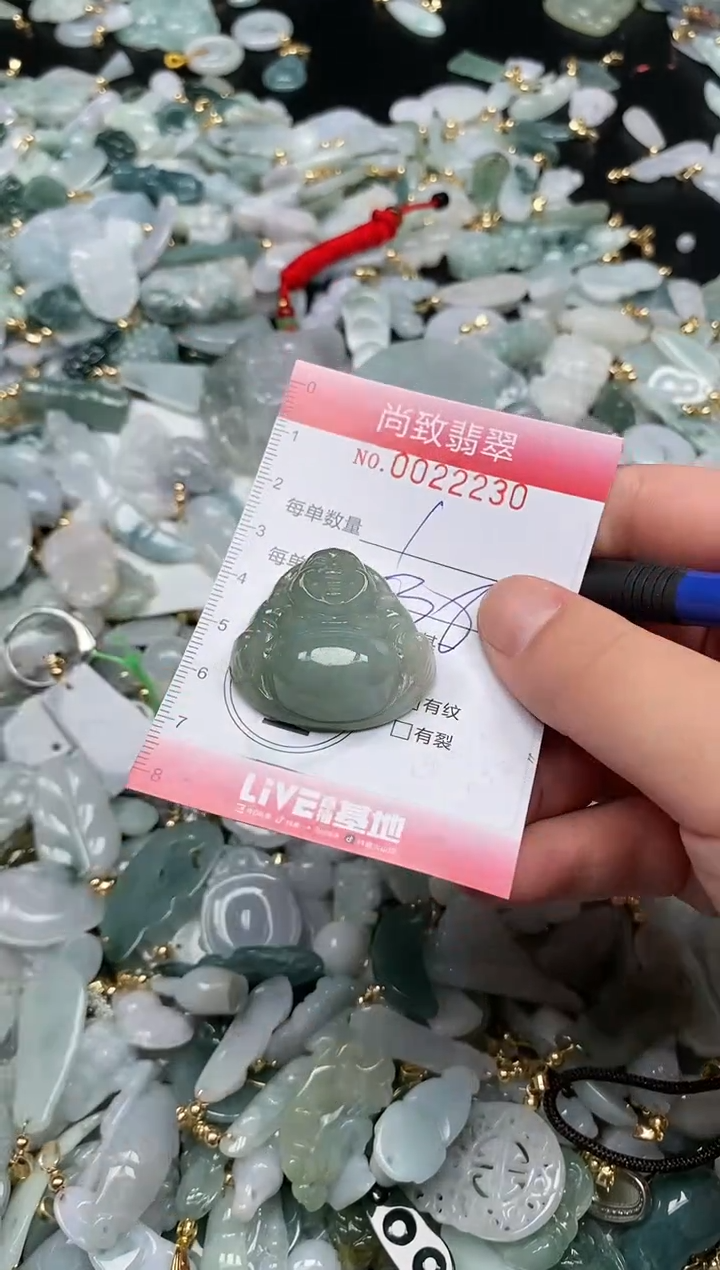 【闪购商品】翡翠颈饰未镶嵌闪购0022230