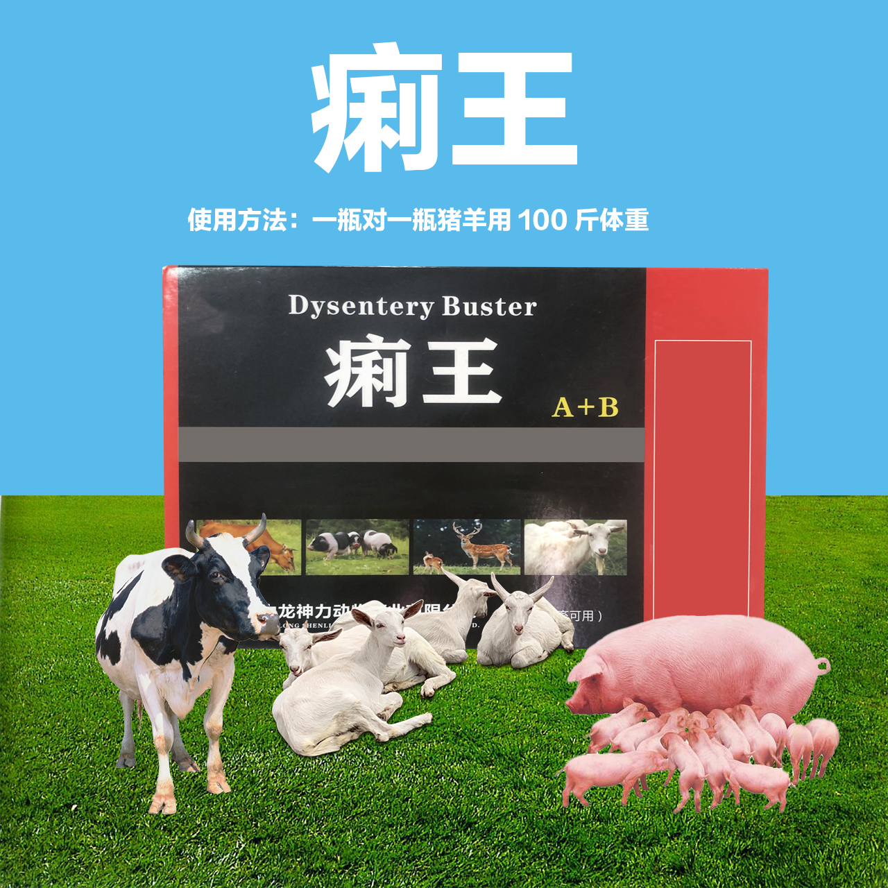 痢王 兽用猪牛羊 用于解决肠道问题
