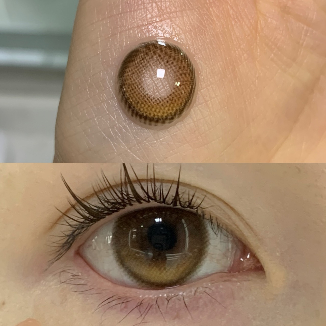 illusionDuck年抛美瞳·土豆脑袋琥珀浅瞳直径14.5mm 染色13.6mm