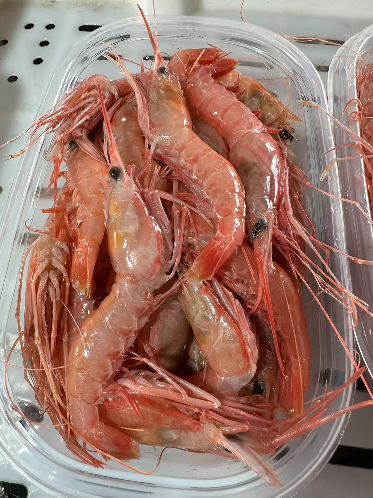 勤渔天海鲜东海红头虾台湾红500g/盒