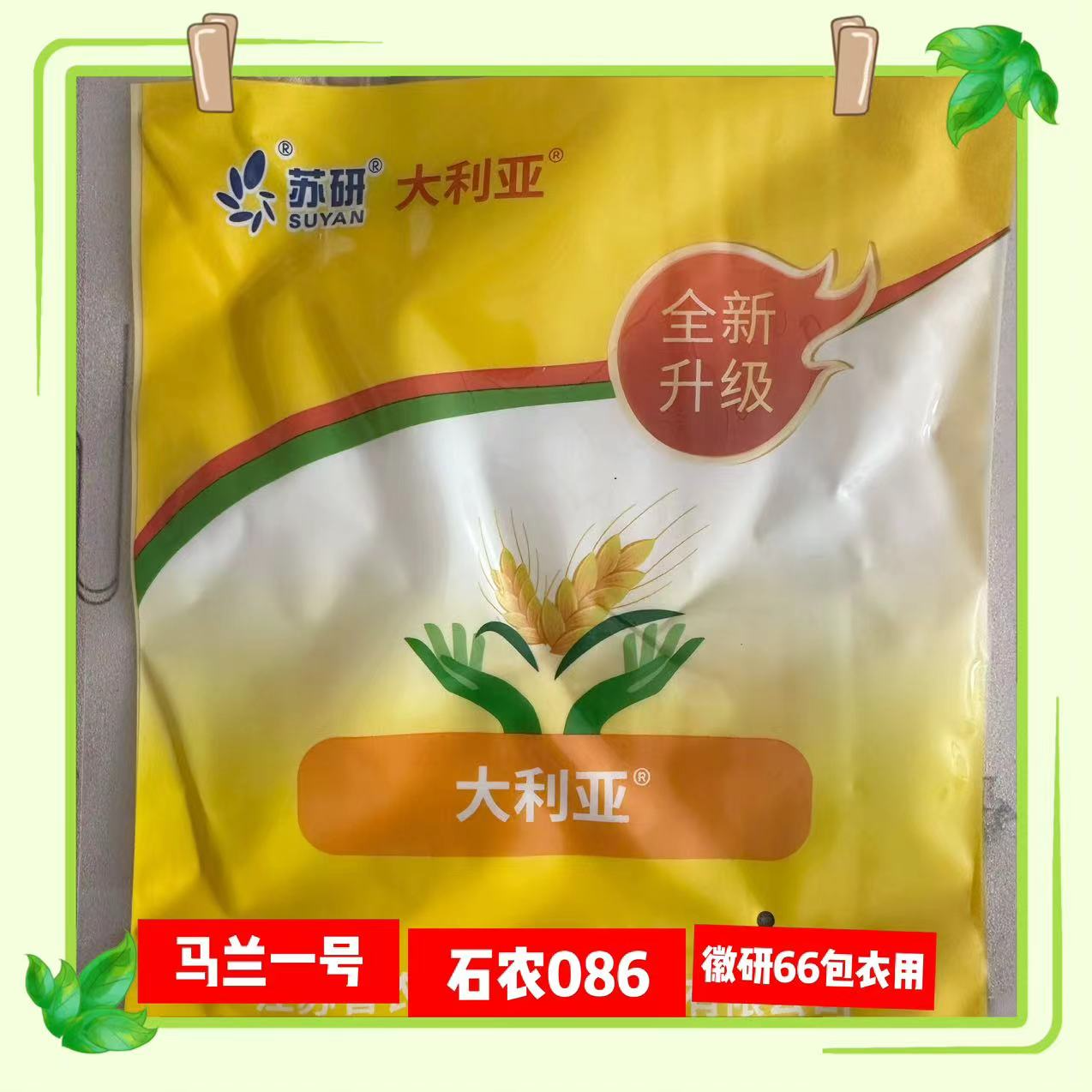 大利亚小麦拌种助剂可拌50斤-60斤小麦种