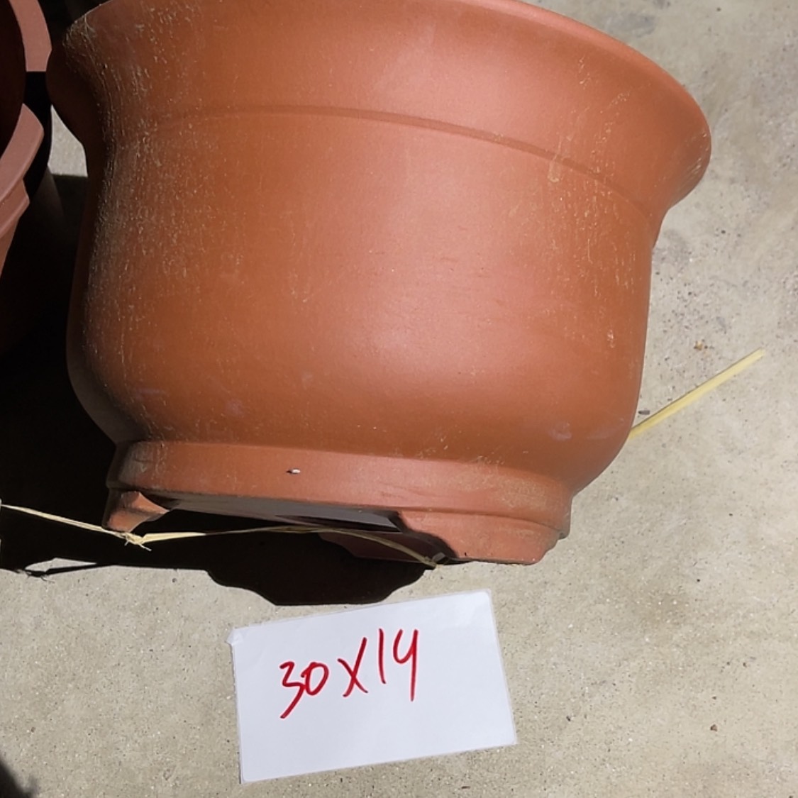 【闪购商品】紫砂20cm(含)-50cm(含)