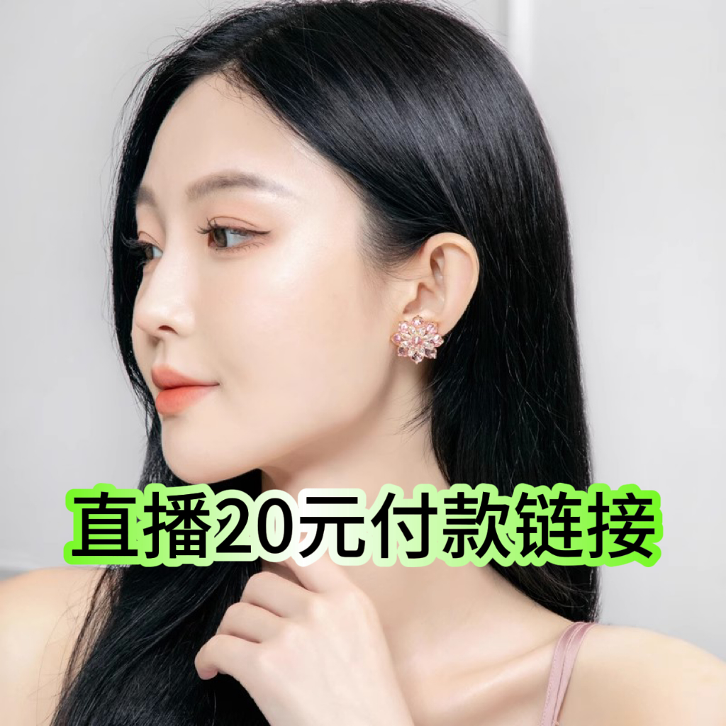 铜合金耳饰 蕾儿百搭 20付款直播下单链接 B01-B60