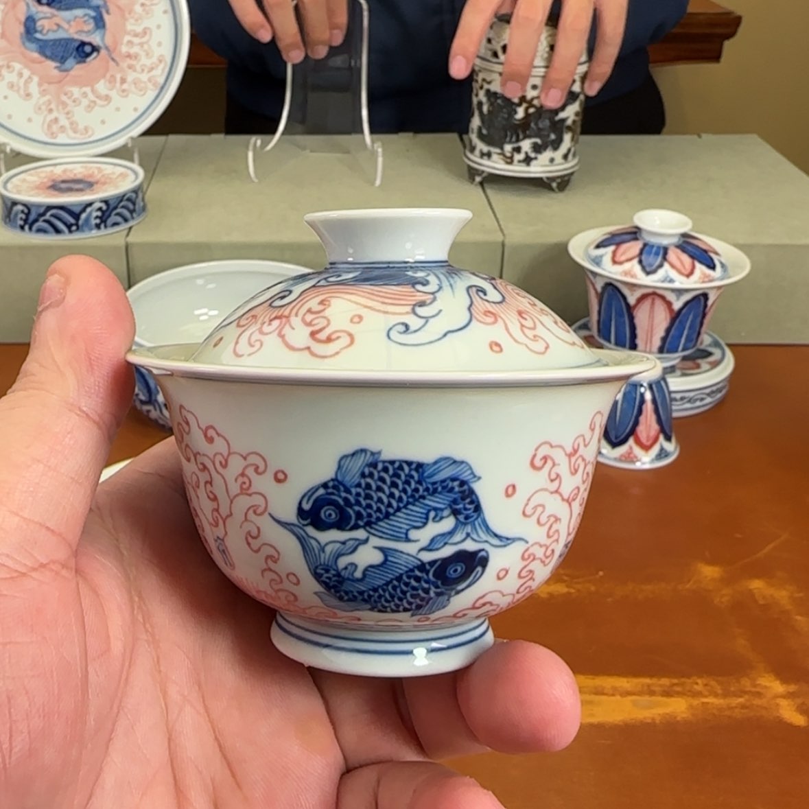 【闪购商品】瓷杯鲨***-团鱼