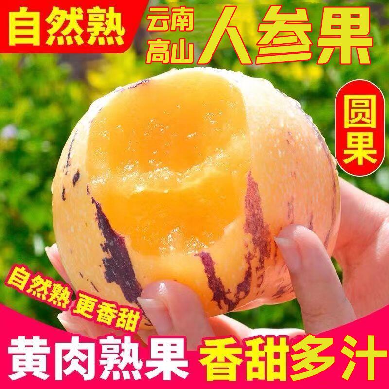 【自然熟圆果】正宗云南石林人参果黄果黄肉人生果人心果当季水果
