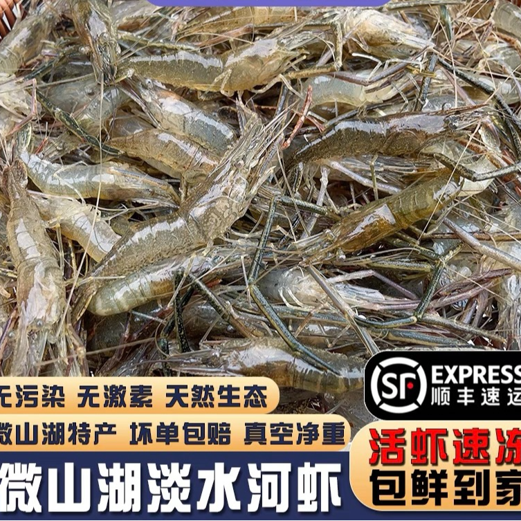 微山湖区新鲜捕捞营养河虾 湖虾 活虾速冻锁鲜发货