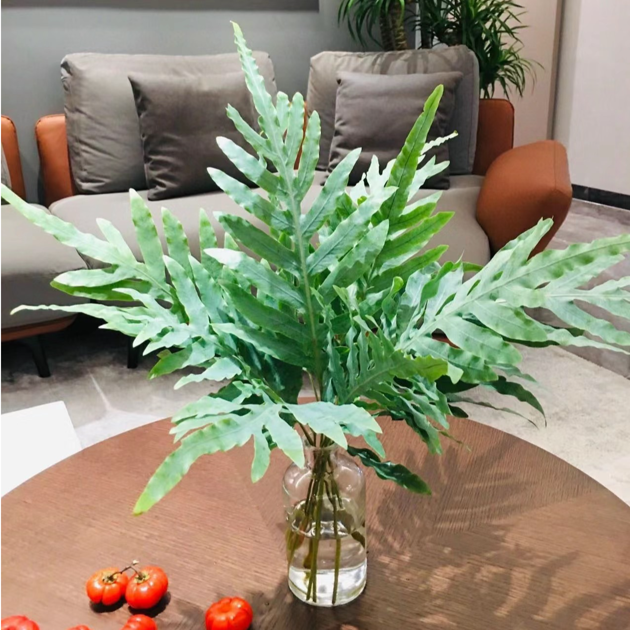 鲜切花高级叶材【贯众蕨】1扎10支新鲜养护