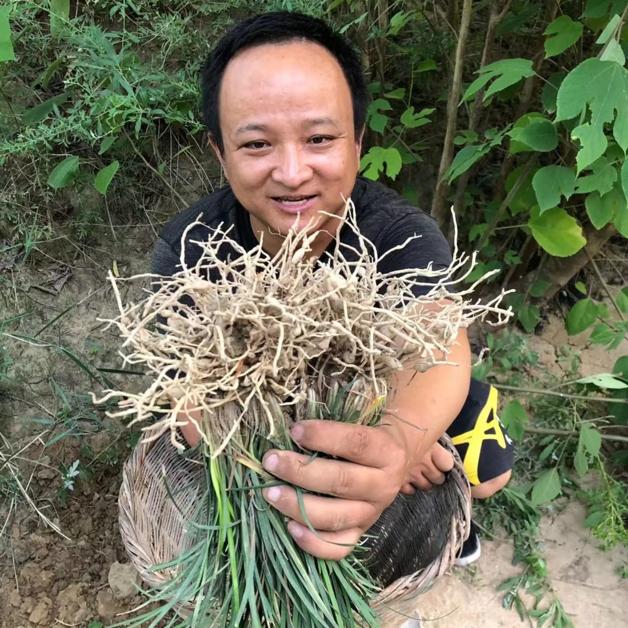 麦-D东 甘肃大山里采挖非种植的 瓜