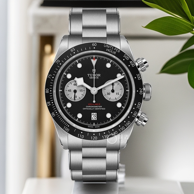 99新 TUDOR/帝舵 碧湾系列79360/24年4月全套/41表径/熊猫盘