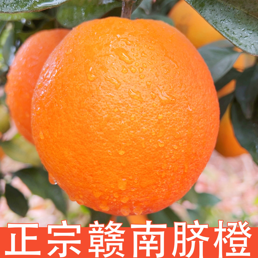 江西赣南脐橙子新鲜水果当季整箱正宗精品大果赣州爆汁皮薄肉厚