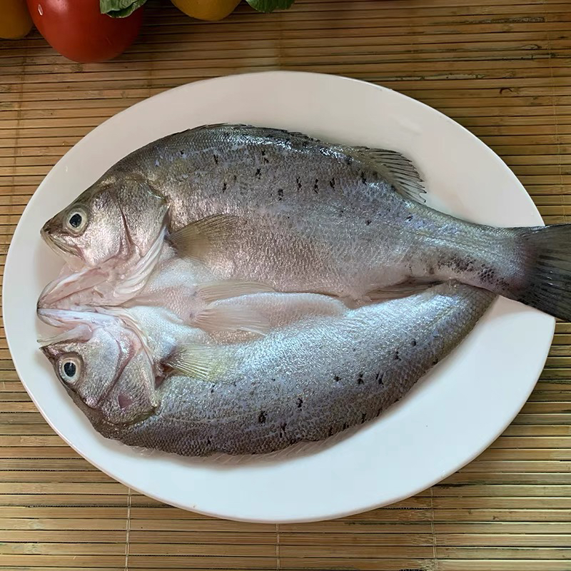 开背鲈鱼去鳞去鳃去内脏450-500g/条，四条发货