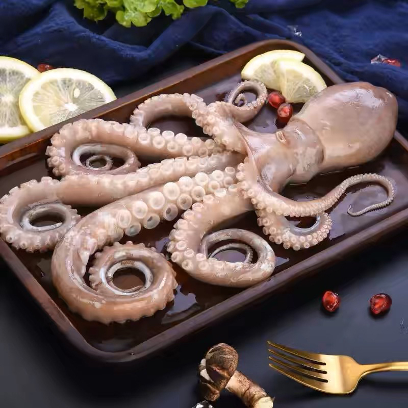 连云港发货长腿八爪鱼四斤装