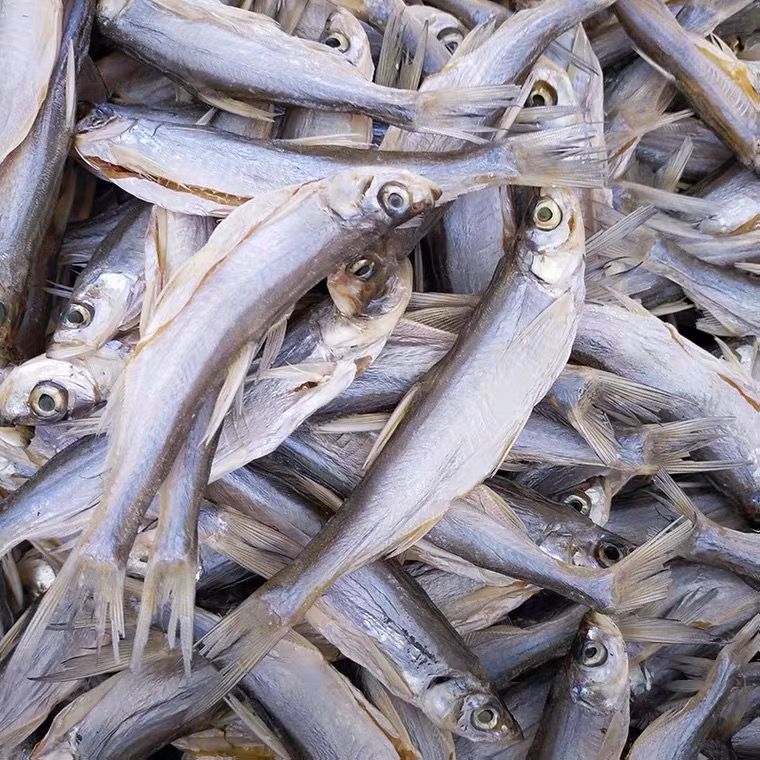 大别山农家特产自燃晒干风干干净不苦干翘嘴鱼